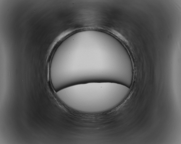X0000086911223200704161002