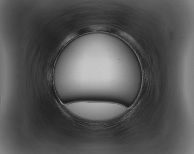 X0000086911225200704161002