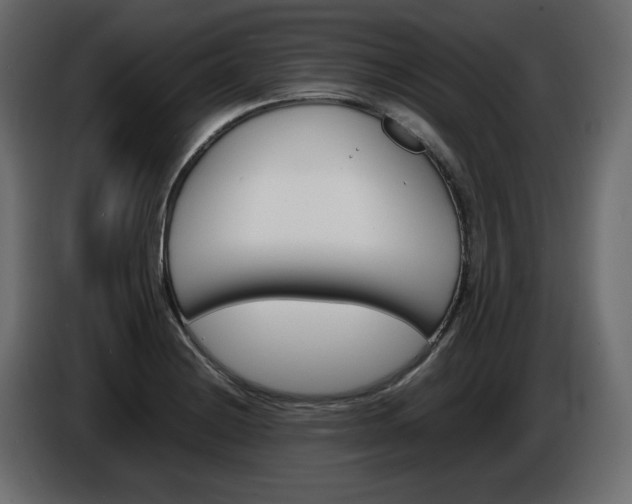 X0000086911228200704161002