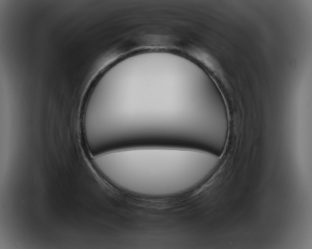 X0000086911229200704161002