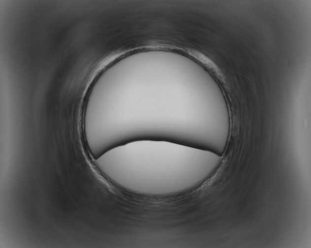 X0000086911231200704161002
