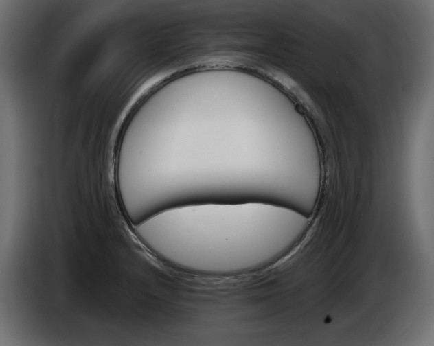 X0000086911232200704161002