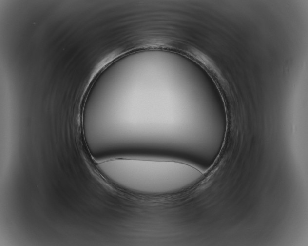 X0000086911234200704161002