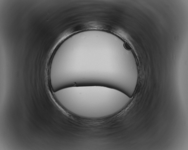 X0000086911235200704161002