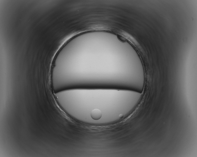X0000086911236200704161002