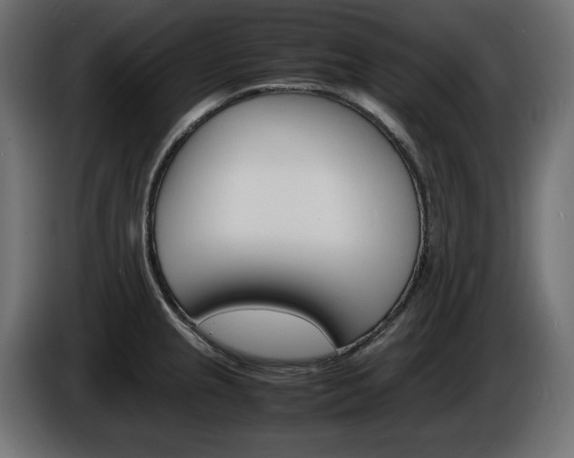 X0000086911237200704161002