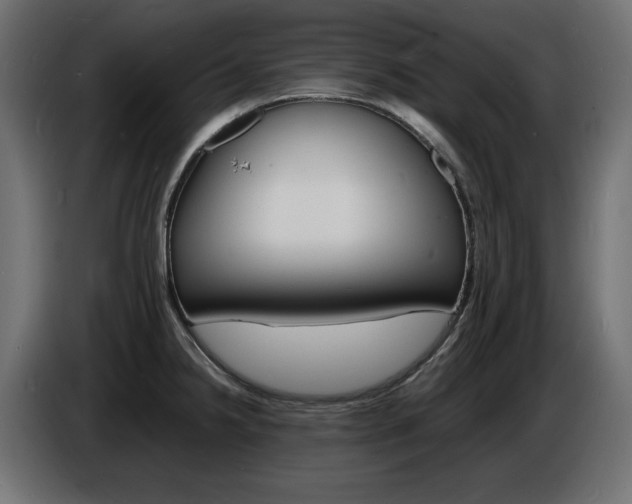 X0000086911238200704161002