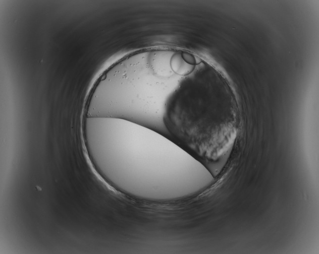 X0000086911239200704161002