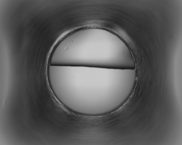 X0000086911240200704161002