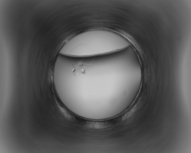 X0000086911241200704161002