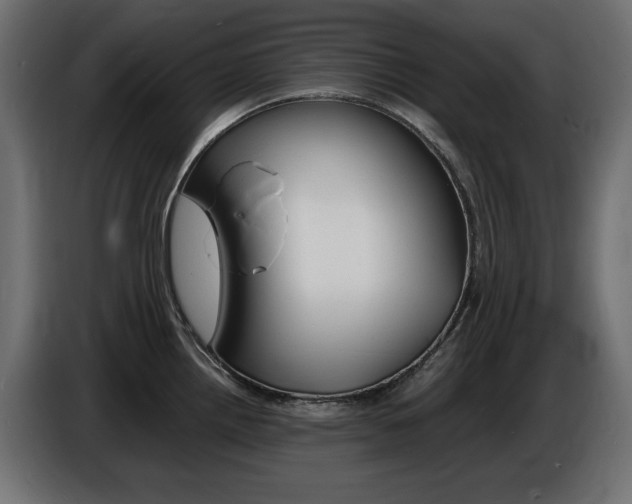 X0000086911242200704161002