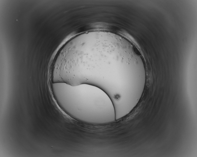 X0000086911243200704161002