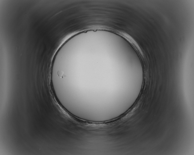 X0000086911244200704161002