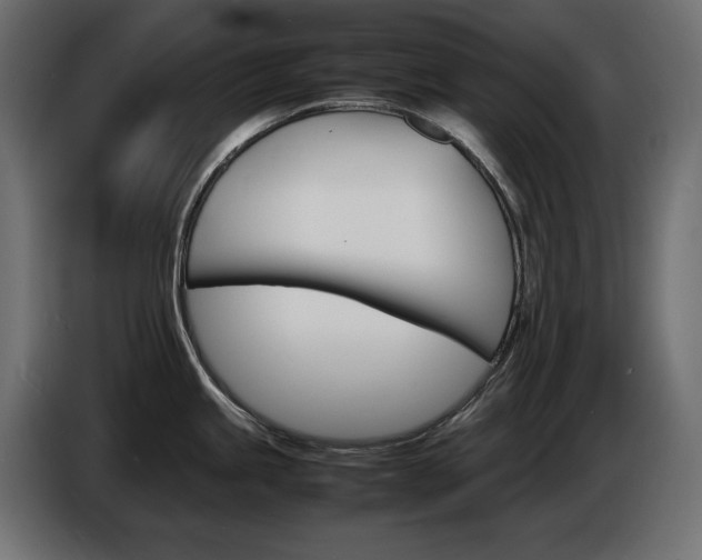 X0000086911245200704161002