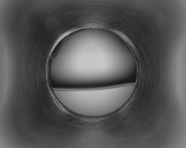 X0000086911246200704161002
