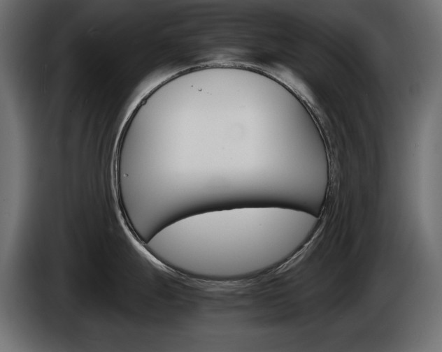 X0000086911247200704161002
