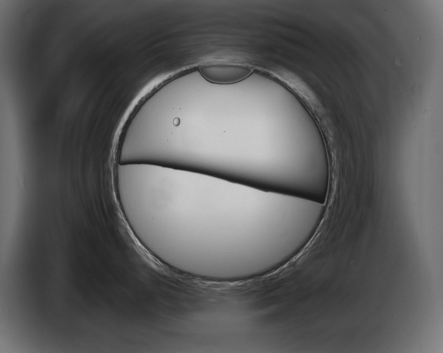X0000086911248200704161002