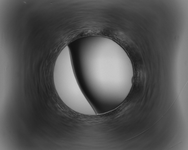 X0000086911250200704161001