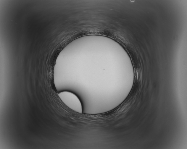X0000086911251200704161001