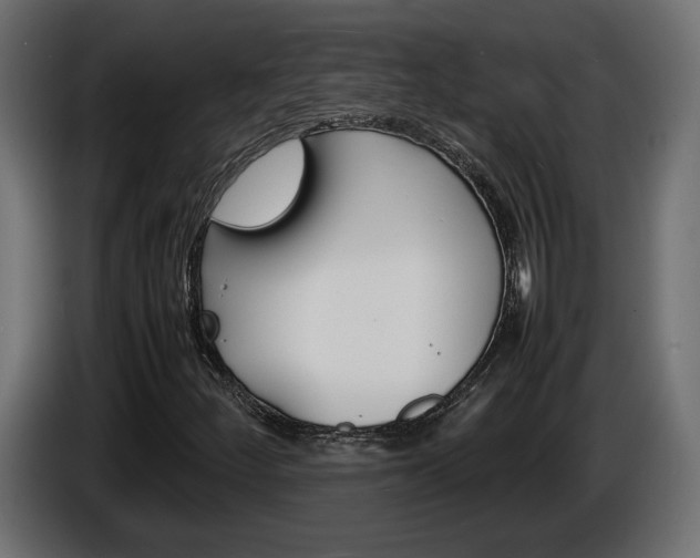 X0000086911252200704161001