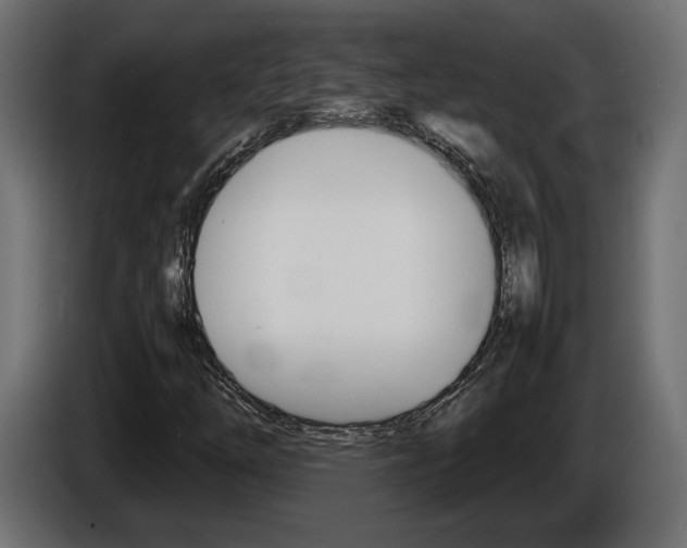X0000086911254200704161001