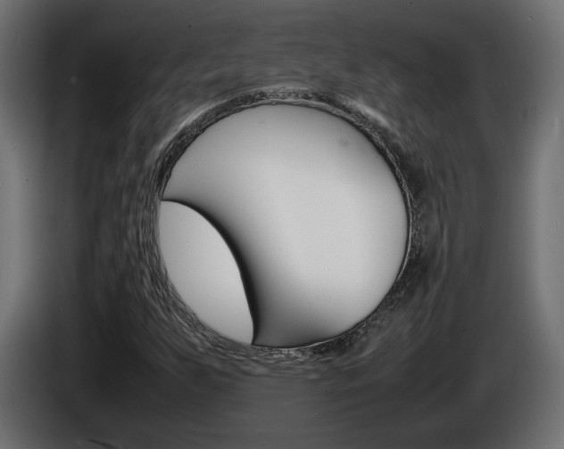 X0000086911255200704161001