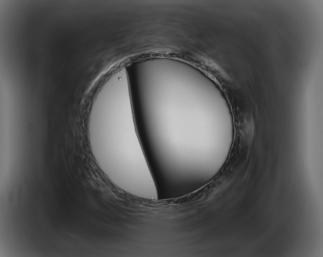 X0000086911256200704161001