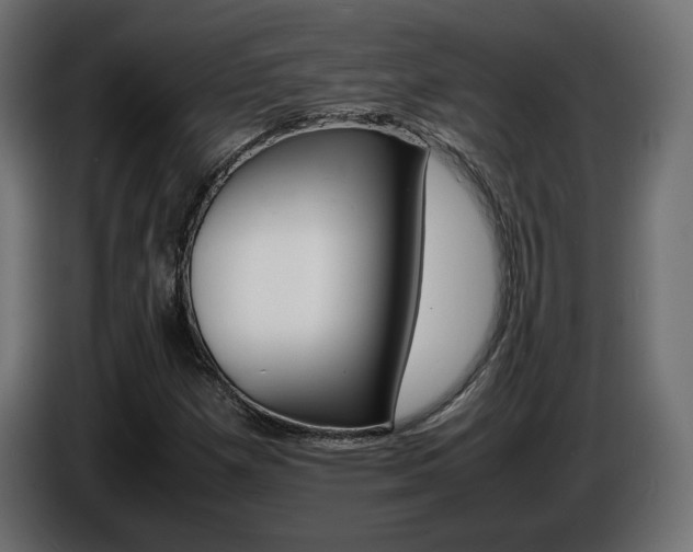 X0000086911257200704161001