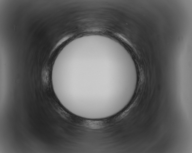 X0000086911258200704161001
