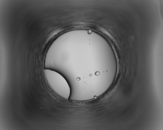 X0000086911259200704161001