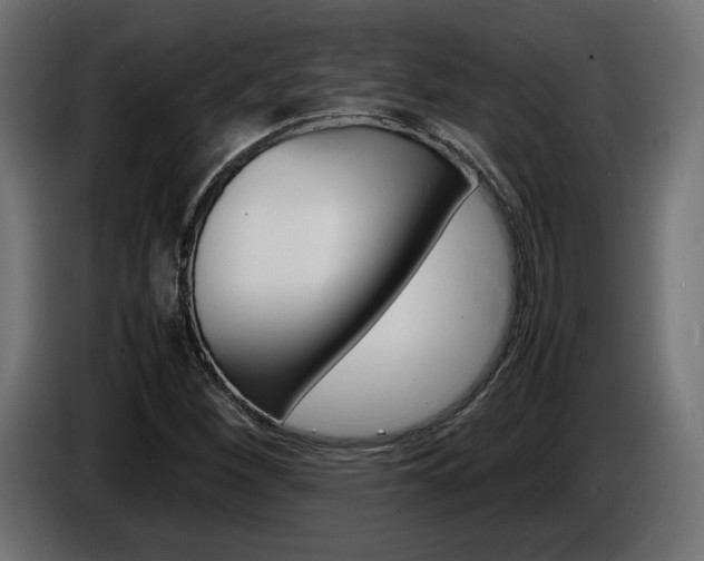 X0000086911260200704161001