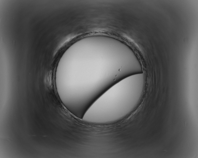 X0000086911262200704161001