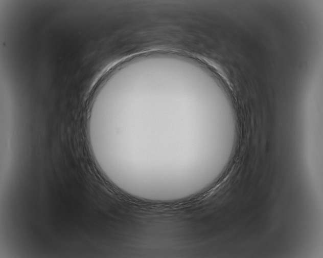 X0000086911263200704161001