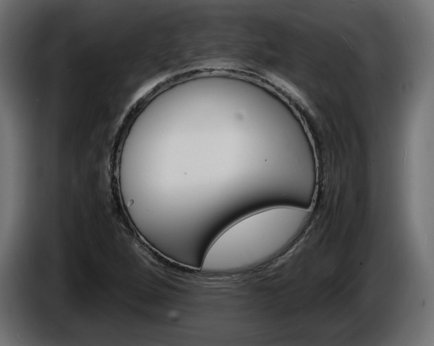 X0000086911264200704161001