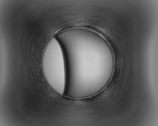 X0000086911265200704161001