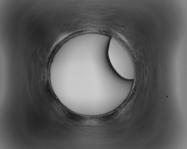 X0000086911267200704161001
