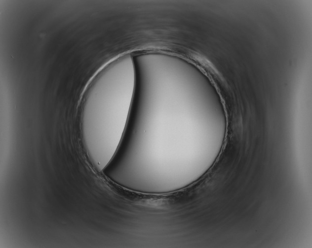 X0000086911268200704161001