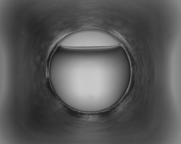 X0000086911269200704161001