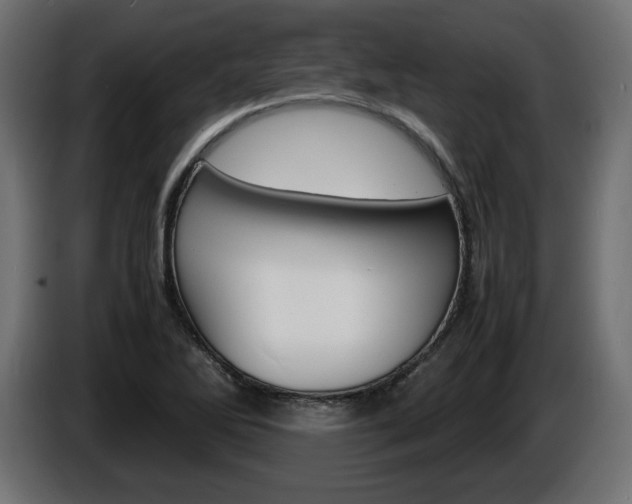 X0000086911270200704161001