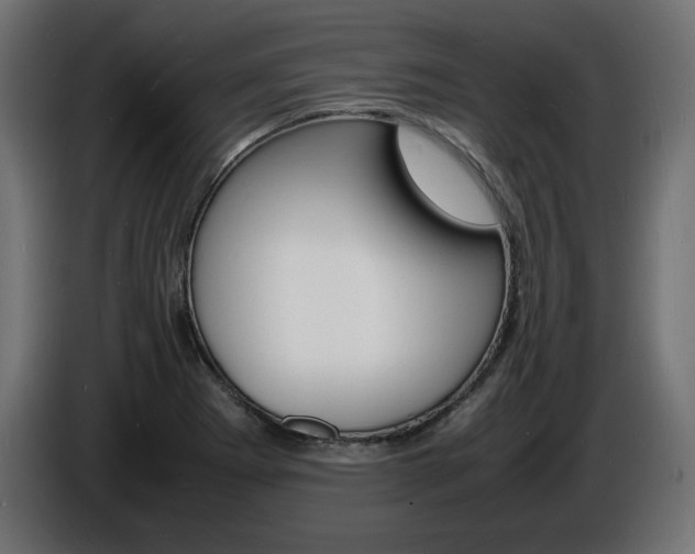 X0000086911273200704161001