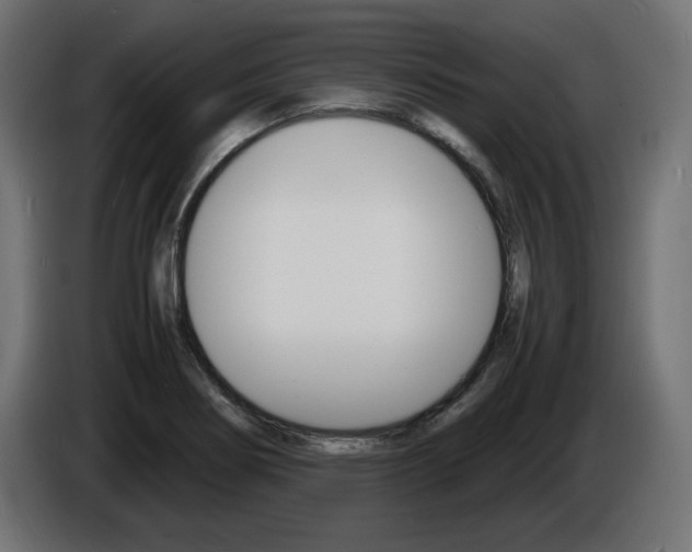 X0000086911274200704161001