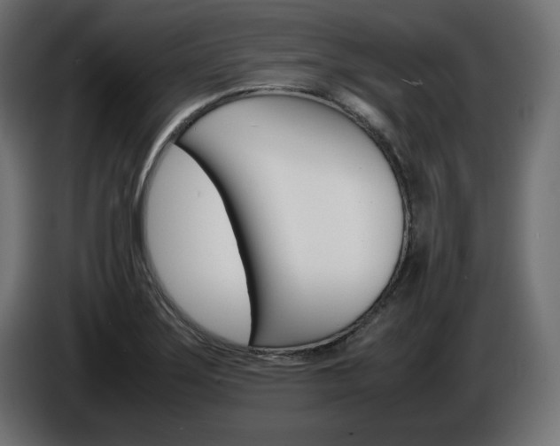 X0000086911275200704161001