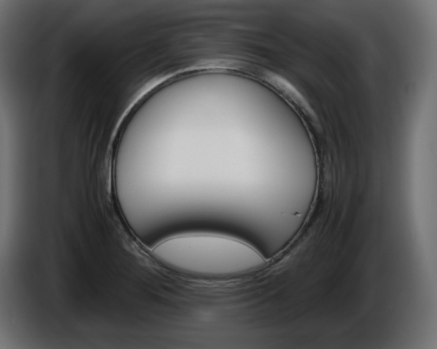 X0000086911276200704161001