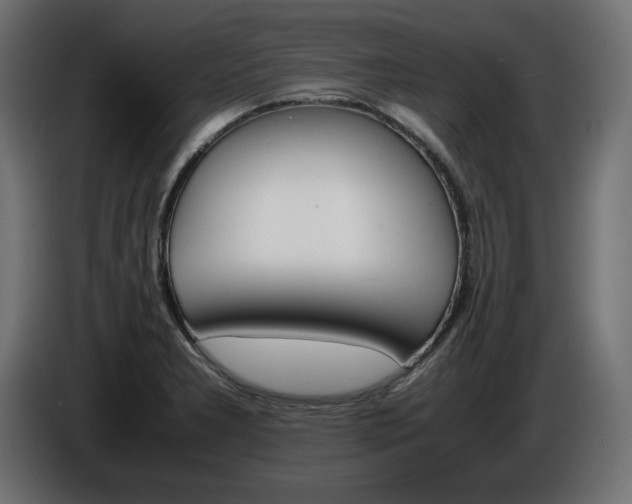 X0000086911277200704161001