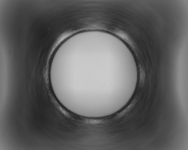 X0000086911278200704161001