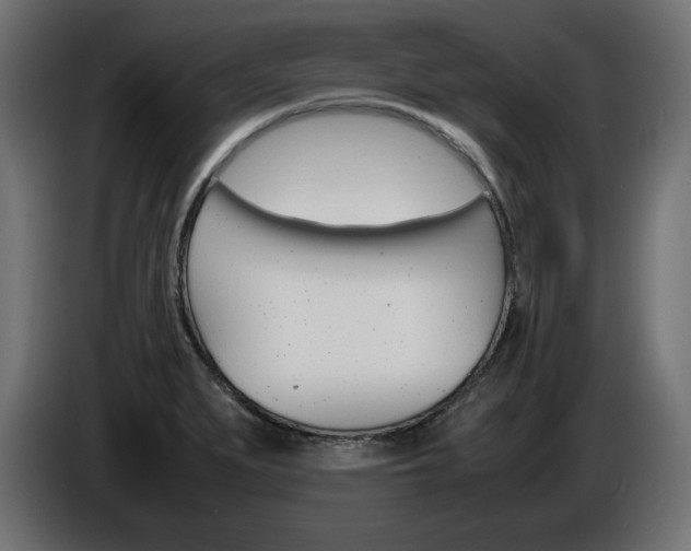 X0000086911279200704161001