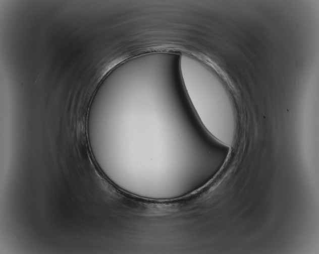 X0000086911281200704161001