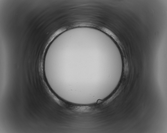 X0000086911282200704161001