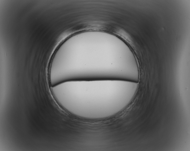X0000086911283200704161001