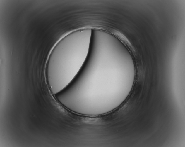 X0000086911284200704161001